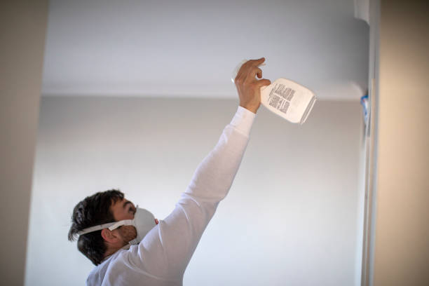 Best Same-Day Mold Removal  in Elkhart, IN