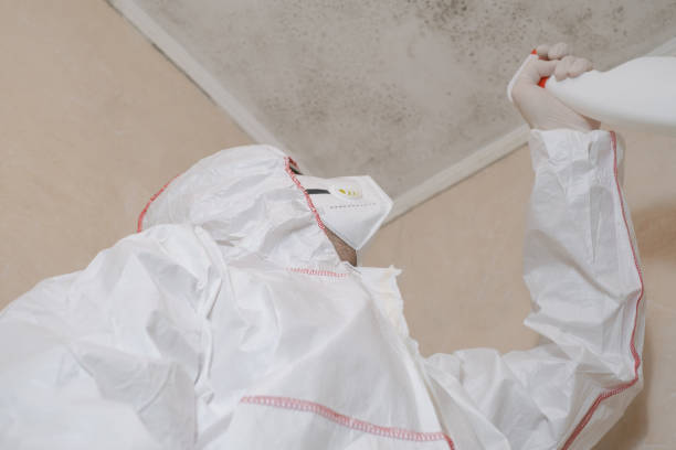 Best Professional Mold Removal  in Elkhart, IN